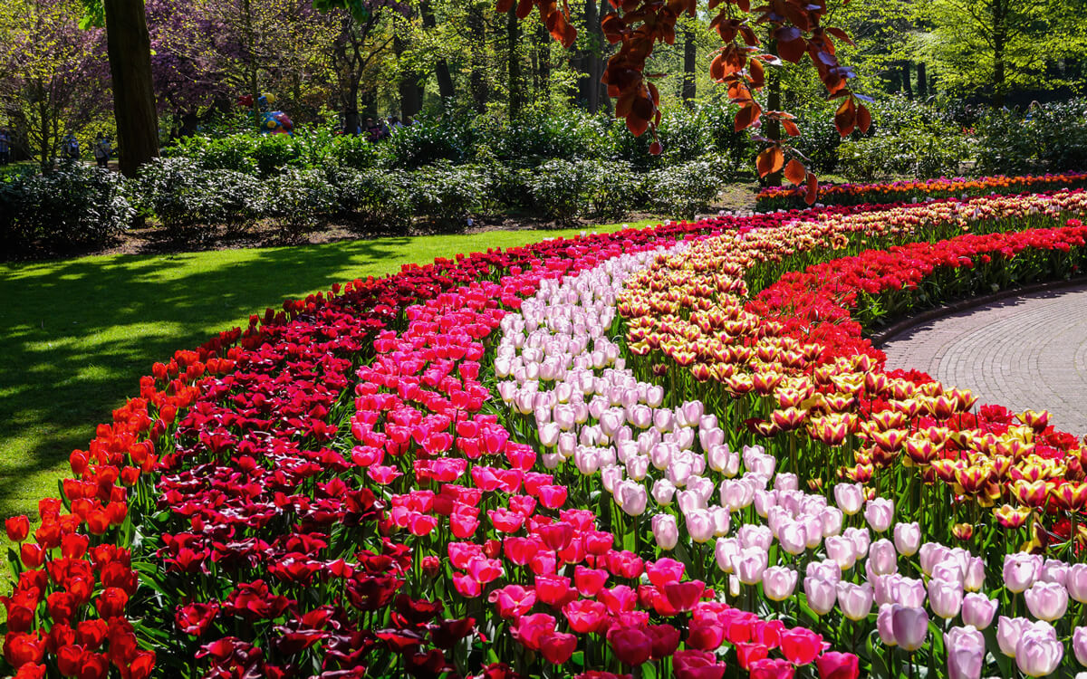 Keukenhof in Lisse