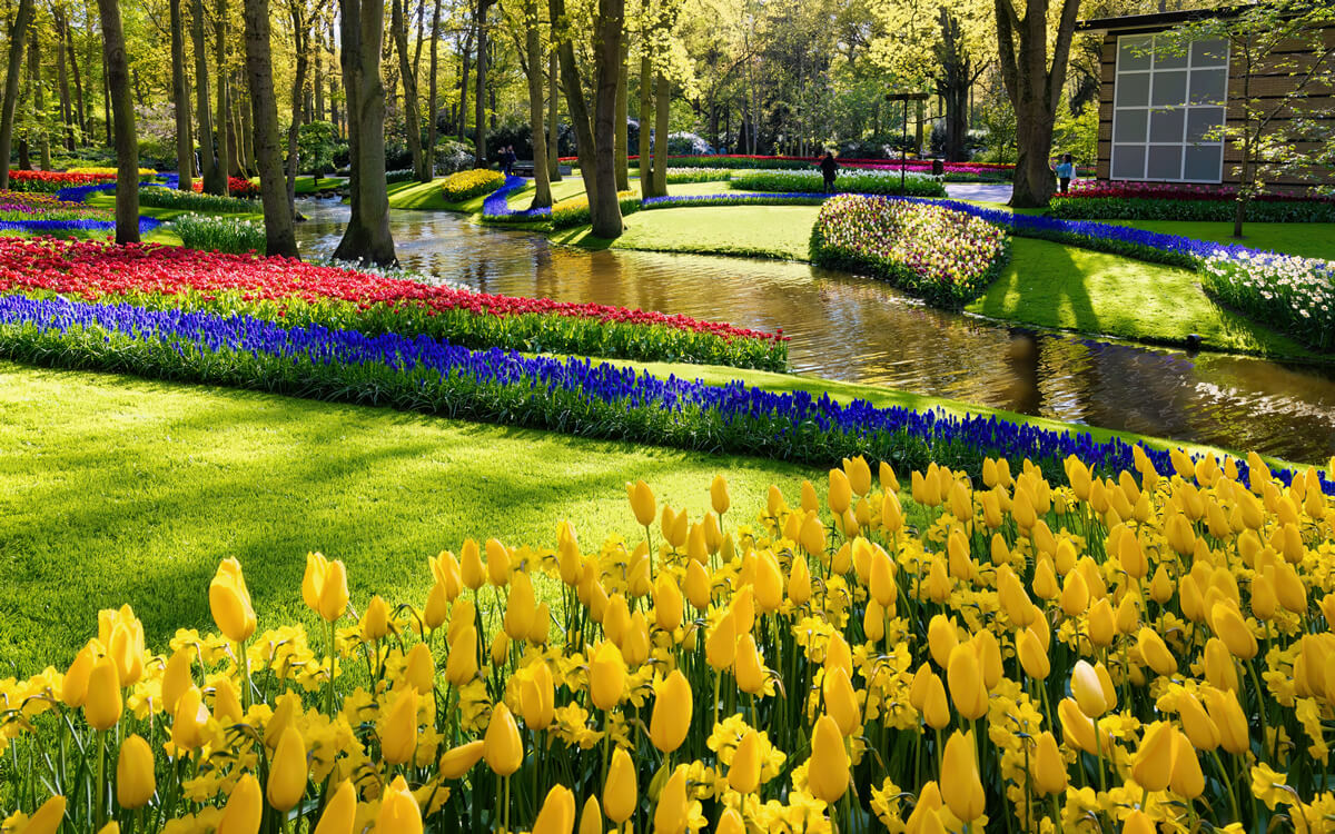 Farbenprächtige Tulpen im Keukenhof